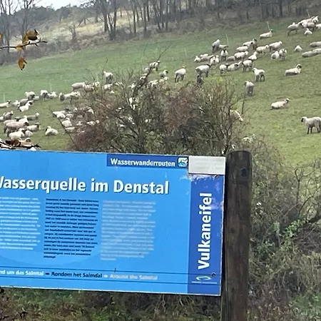 Zur Quelle Gasthof 3*