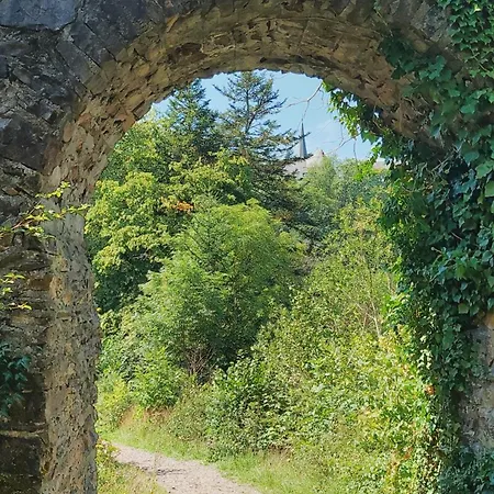 Гостевой дом Zur Quelle 3*