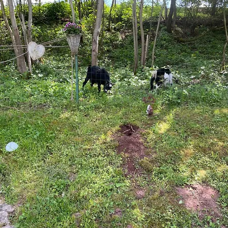 Zur Quelle 3* Deudesfeld