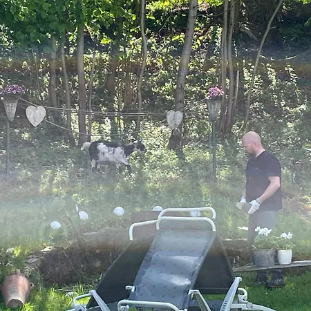 Гостевой дом Zur Quelle Deudesfeld