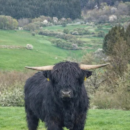 Zur Quelle Deudesfeld
