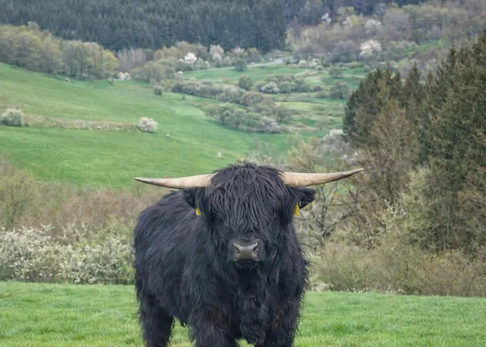 Zur Quelle Deudesfeld